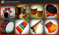 Captură de ecran Toate instrumentele muzicale apk 6