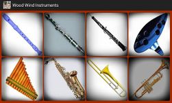 Captură de ecran Toate instrumentele muzicale apk 4