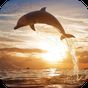 Springender Delphin 3D