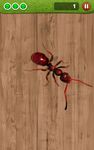 Ameisen-Quetscher Kostenlos Bild 2