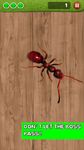 Ant Smasher, Best Free Game image 7