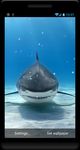 Imagem 6 do Tubarão Papel parede animado