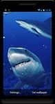Imagem 5 do Tubarão Papel parede animado