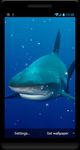 Imagem 4 do Tubarão Papel parede animado