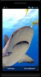 Imagem 2 do Tubarão Papel parede animado