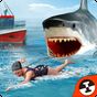 Shark Shark Run APK Simgesi