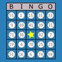 Icône de Classic Bingo Touch