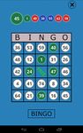 Classic Bingo Touch Screenshot APK 