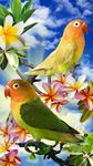 Vogels Live Wallpaper afbeelding 9