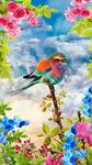 Vogels Live Wallpaper afbeelding 