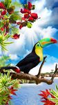 Vogels Live Wallpaper afbeelding 17