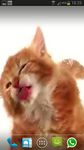 CAT LICKS LIVE WALLPAPER FREE image 1