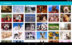 Dog Wallpapers! εικόνα 1