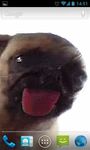 Dog Licker Live Wallpaper FREE image 