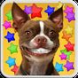 DOG SMILES LIVE WALLPAPER apk icon