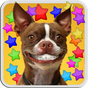 DOG SMILES LIVE WALLPAPER의 apk 아이콘