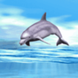 APK-иконка Dolphin Playing Live Wallpaper