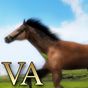 Biểu tượng VA Horse Wallpaper