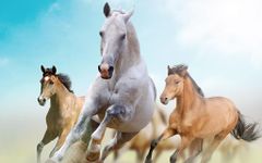 Photos de Chevaux Fond Animé capture d'écran apk 