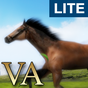 Иконка VA Horse Wallpaper LITE