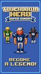 Touchdown Hero: Super Sunday screenshot apk 8