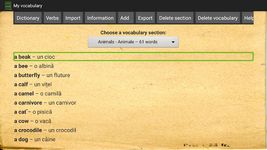 Captură de ecran Dictionar Englez Roman apk 2