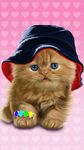 Gambar Bayi Kucing, Lucu Wallpaper 5