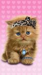 Gambar Bayi Kucing, Lucu Wallpaper 3