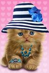 Gambar Bayi Kucing, Lucu Wallpaper 14