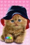 Gambar Bayi Kucing, Lucu Wallpaper 12