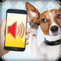 APK-иконка собака переводчик (симулятор)