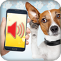APK-иконка собака переводчик (симулятор)