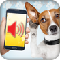 犬翻訳シミュレータ APK アイコン