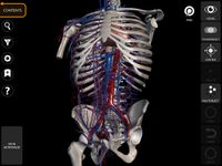 Captură de ecran Muscular System 3D Anatomy Lt apk 12