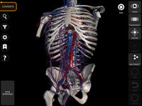 Tangkapan layar apk Muscle | Skeleton - 3D Anatomy 12