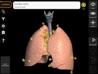 Muscle | Skeleton - 3D Anatomy ảnh màn hình apk 23