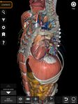 Captură de ecran Muscular System 3D Anatomy Lt apk 22