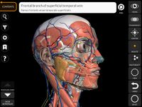 筋肉系 - 上肢 - 解剖学3Dアトラス- Lite のスクリーンショットapk 21