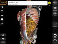 Captură de ecran Muscular System 3D Anatomy Lt apk 20