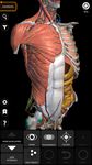 Captură de ecran Muscular System 3D Anatomy Lt apk 1