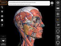 Muscle | Skeleton - 3D Anatomy ảnh màn hình apk 17