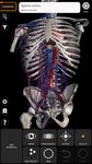 Captură de ecran Muscular System 3D Anatomy Lt apk 2