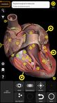 Captură de ecran Muscular System 3D Anatomy Lt apk 3
