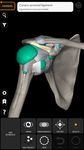 筋肉系 - 上肢 - 解剖学3Dアトラス- Lite のスクリーンショットapk 4