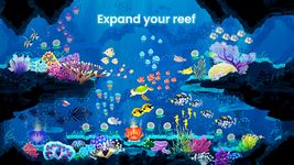 Splash: Ocean Sanctuary ảnh màn hình apk 12