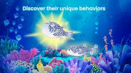 Splash: Ocean Sanctuary ảnh màn hình apk 18