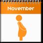 Pregnancy Calculator apk icon