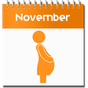 Pregnancy Calculator APK