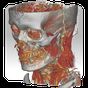 DroidRender - 3D DICOM viewer