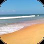 Beach HD Live Wallpaper icon